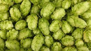 Hop Substitution Guide