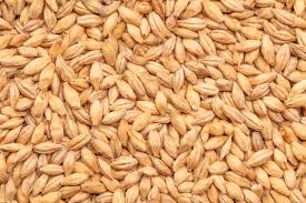 Best Chit Malt - 1Kg